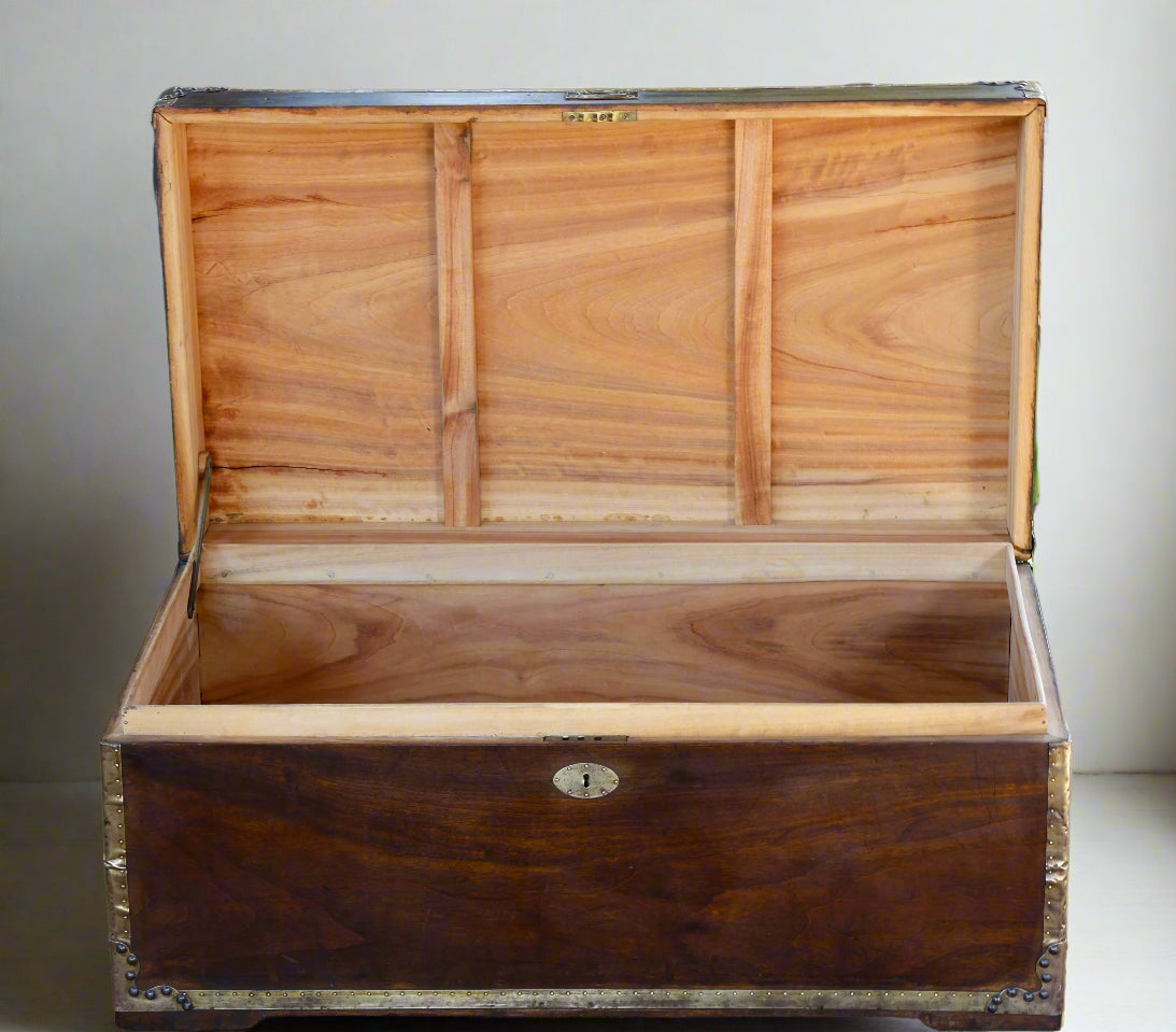 Brass bound camphor wood Chest
