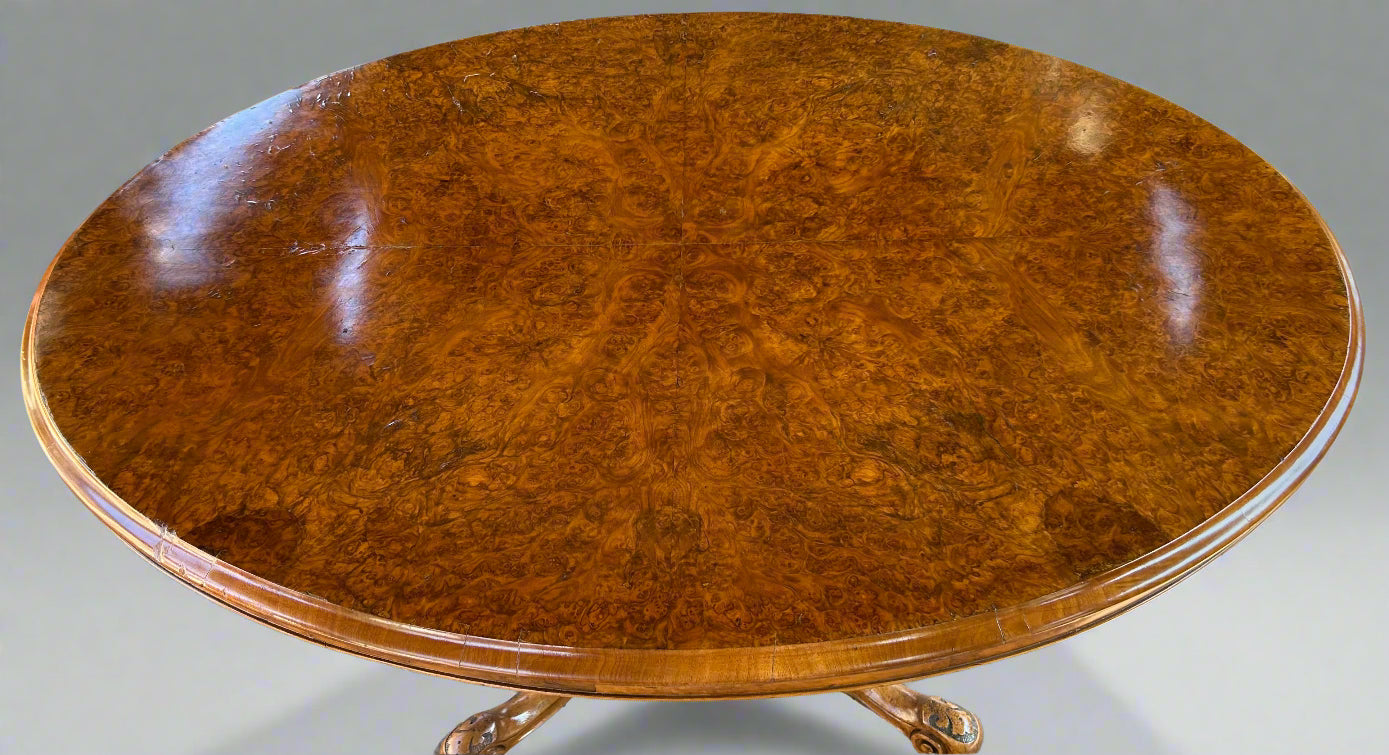 Victorian burr walnut Loo Table