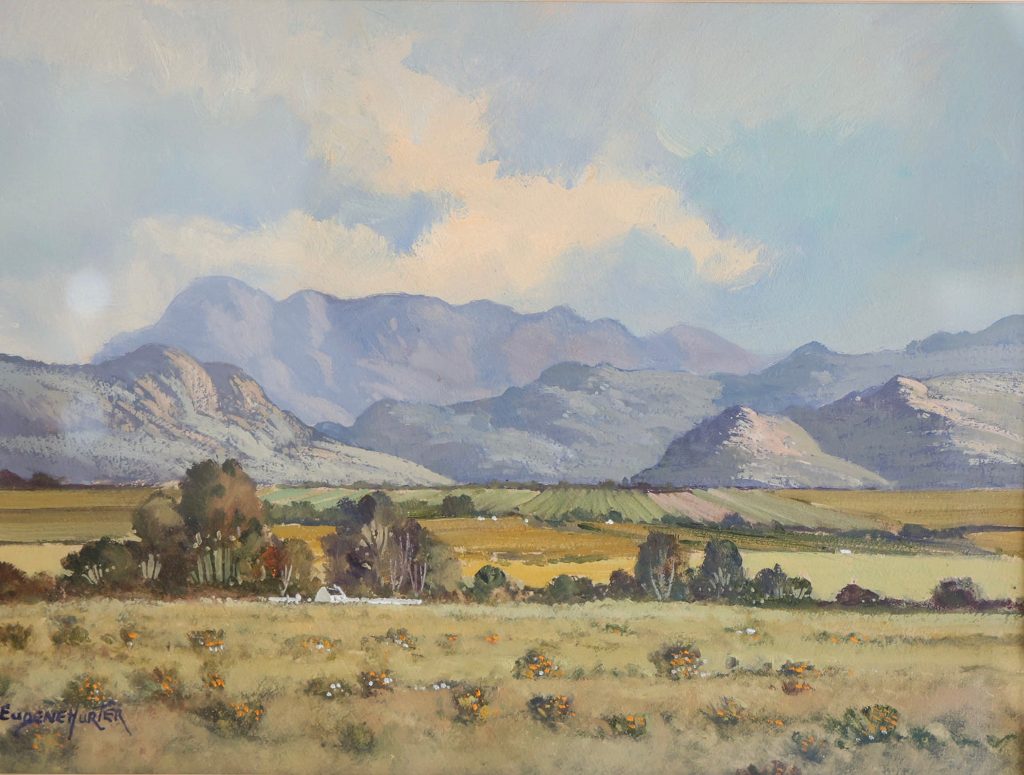 Eugene Hurter (SA) - Oil on Board - Wellington, signed - SOLD QUICKLY