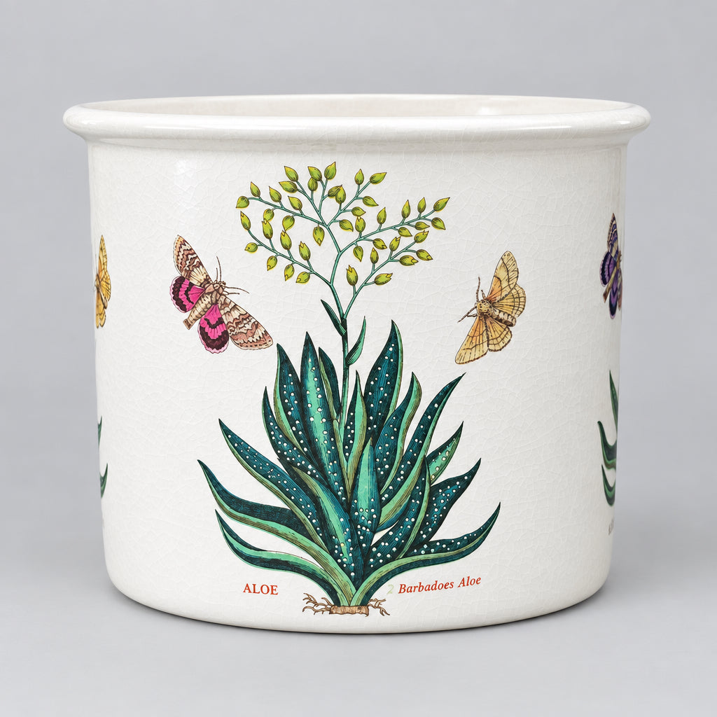 Vintage Portmeirion Botanic Garden Drum Planter - featuring the rare Barbadoes Aloe motif designed by Susan Williams