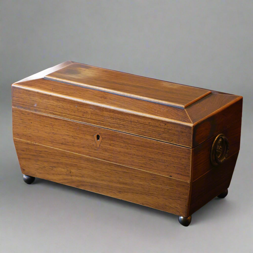 Superb early Victorian rosewood Tea Caddy
