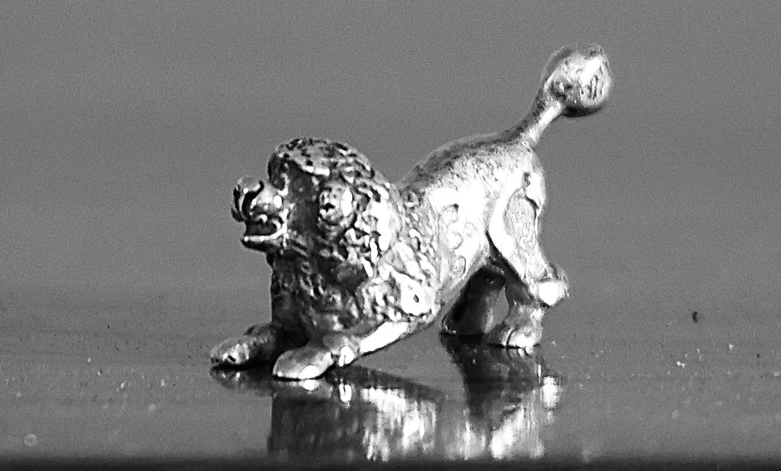 A Miniature silver Poodle