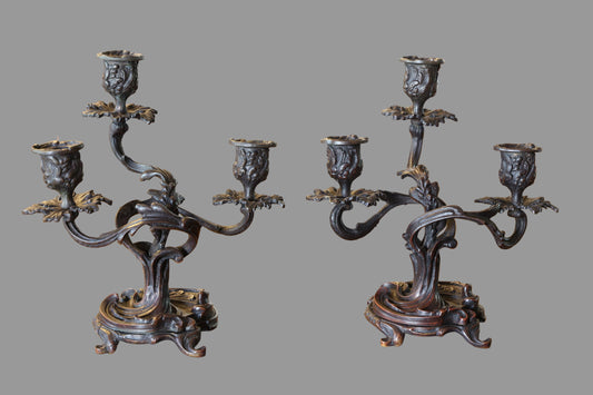 Pair of Beautiful 19th/20th Century Rococo Style French Bronze Candelabrum