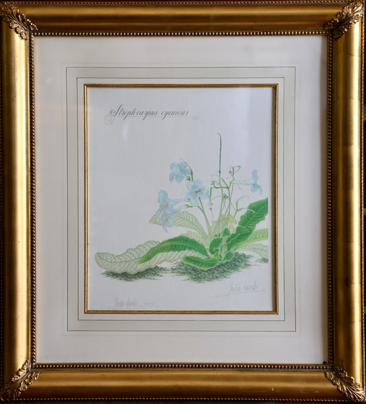 Framed limited Edition Signed Print by Thalia Lincoln 99/325