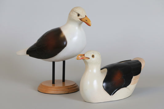 Large pair Feathers of Knysna Sea Gulls - SOLD QUICKLY