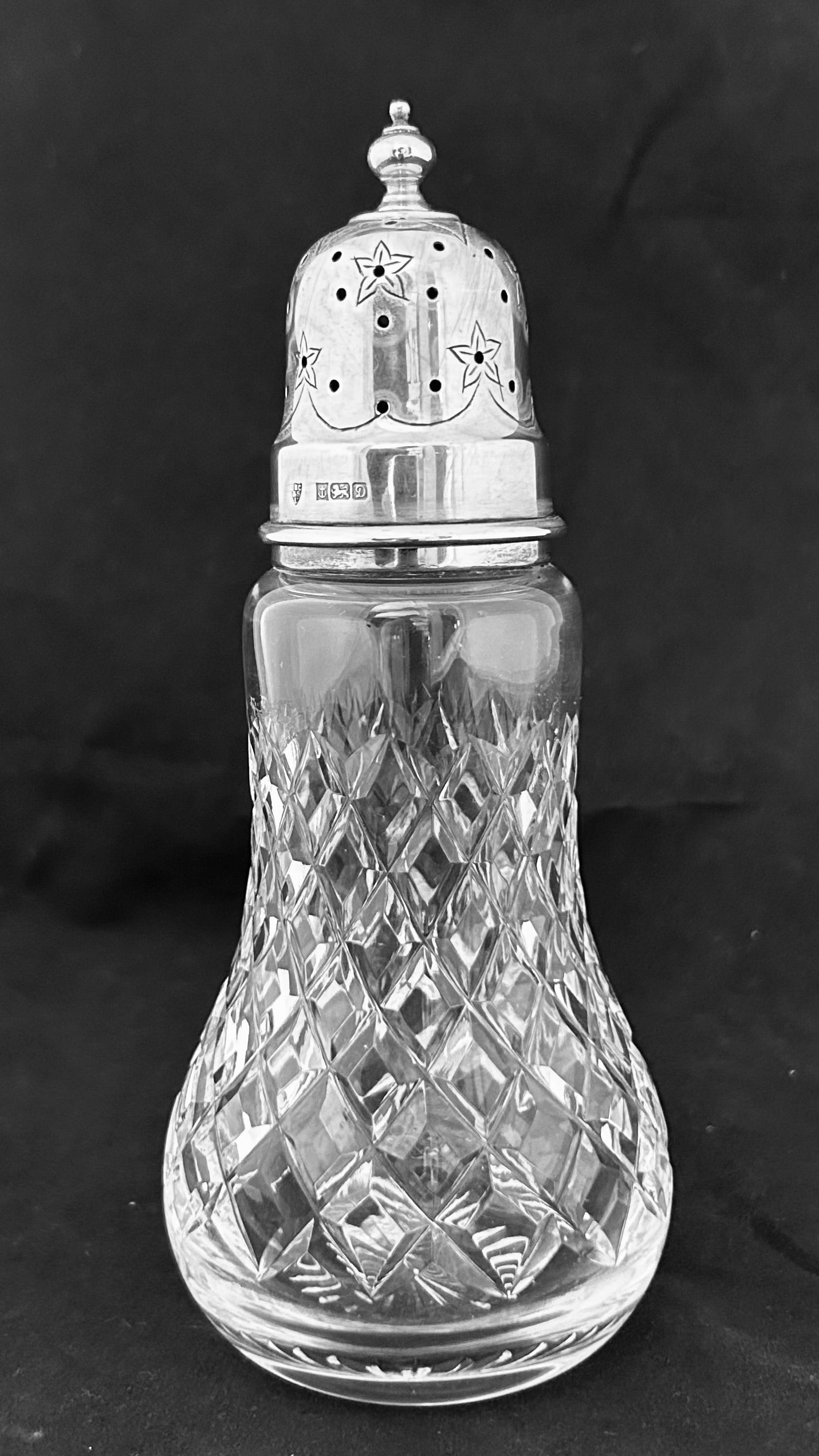 Silver topped Sugar Castor