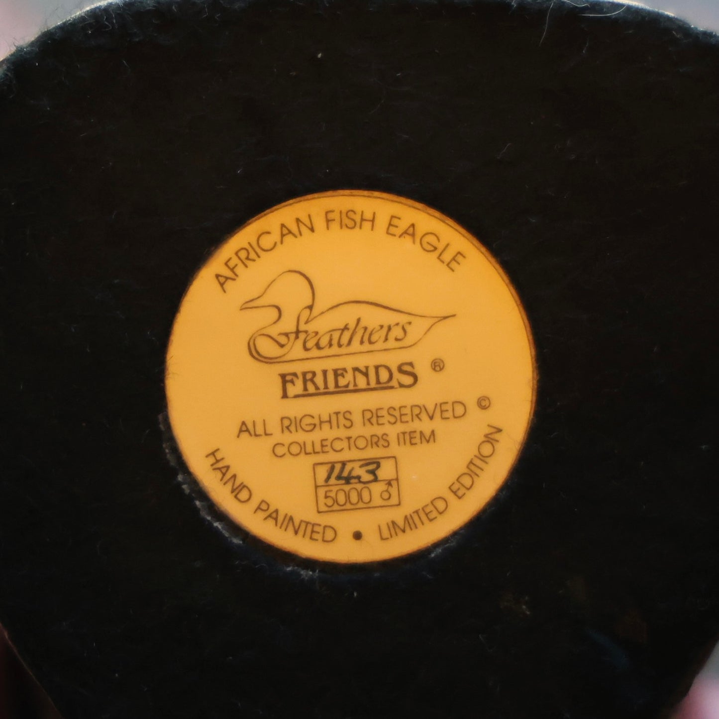 Feathers of Knysna composite Fish Eagle - in original box with document - SOLD