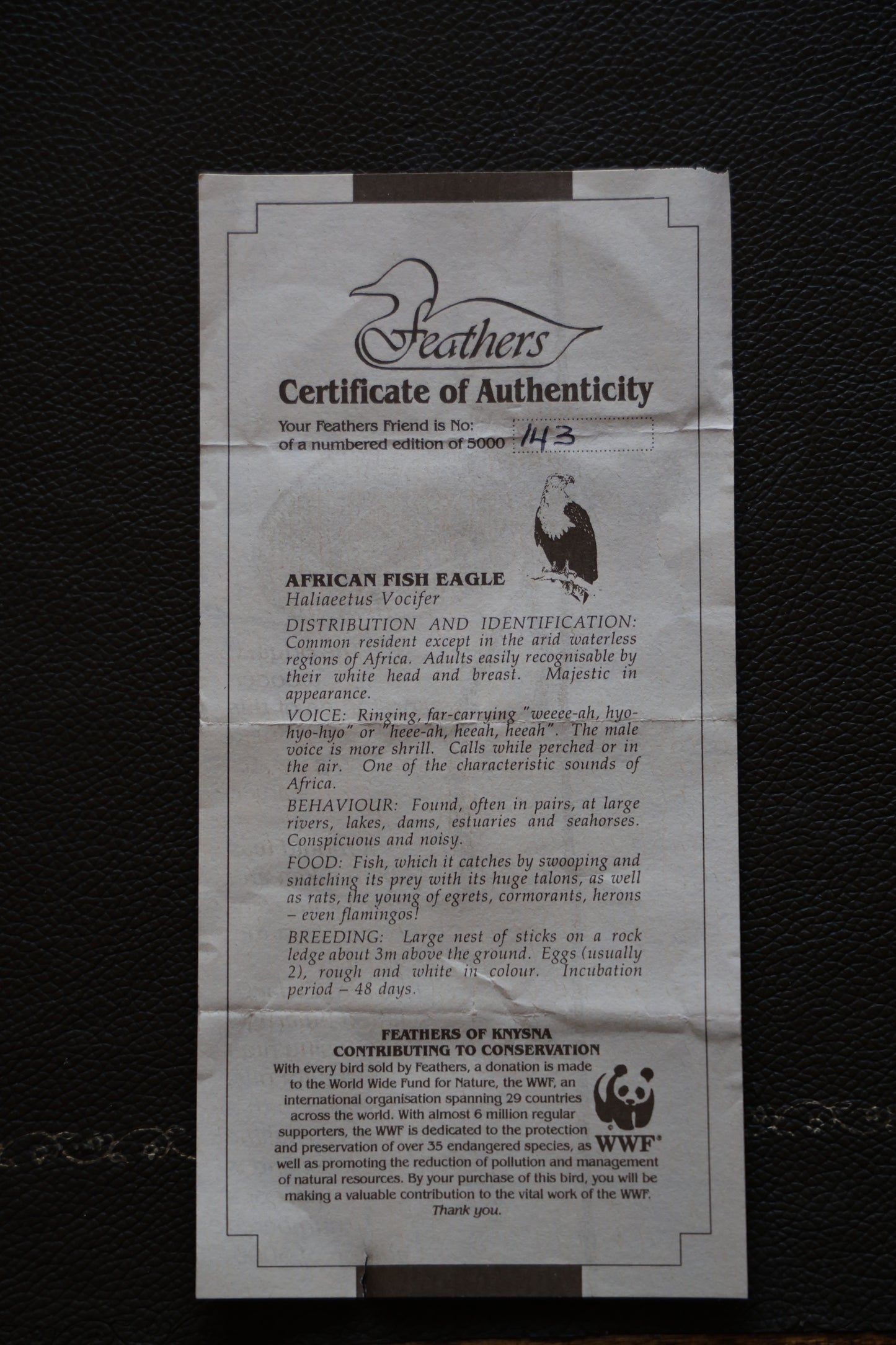 Feathers of Knysna composite Fish Eagle - in original box with document - SOLD