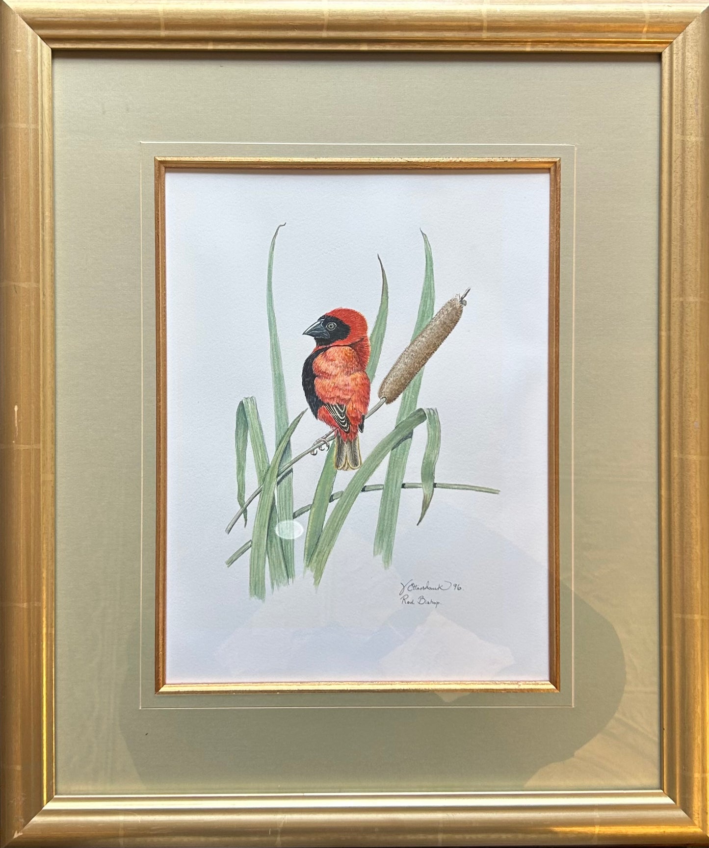 Valerie ETTERSHANK - Red Bishop
