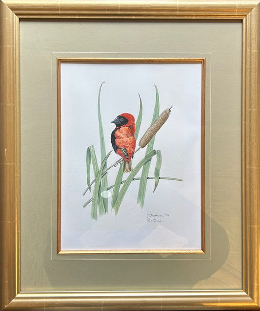 Valerie ETTERSHANK - Red Bishop