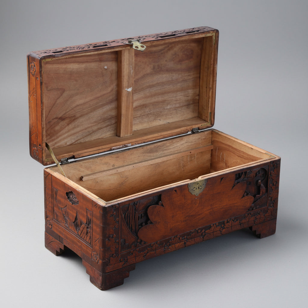 Early 20th Century carved Camphorwood Chest - Medium size