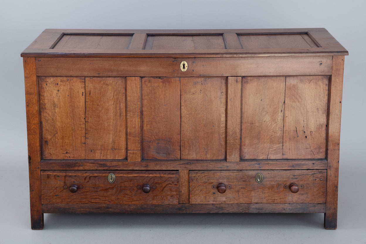 Georgian oak 3 Panel Mule Chest