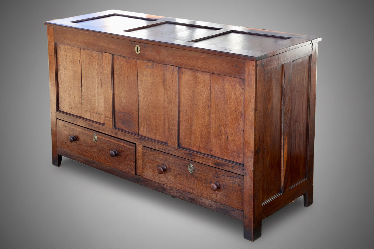 Georgian oak 3 Panel Mule Chest