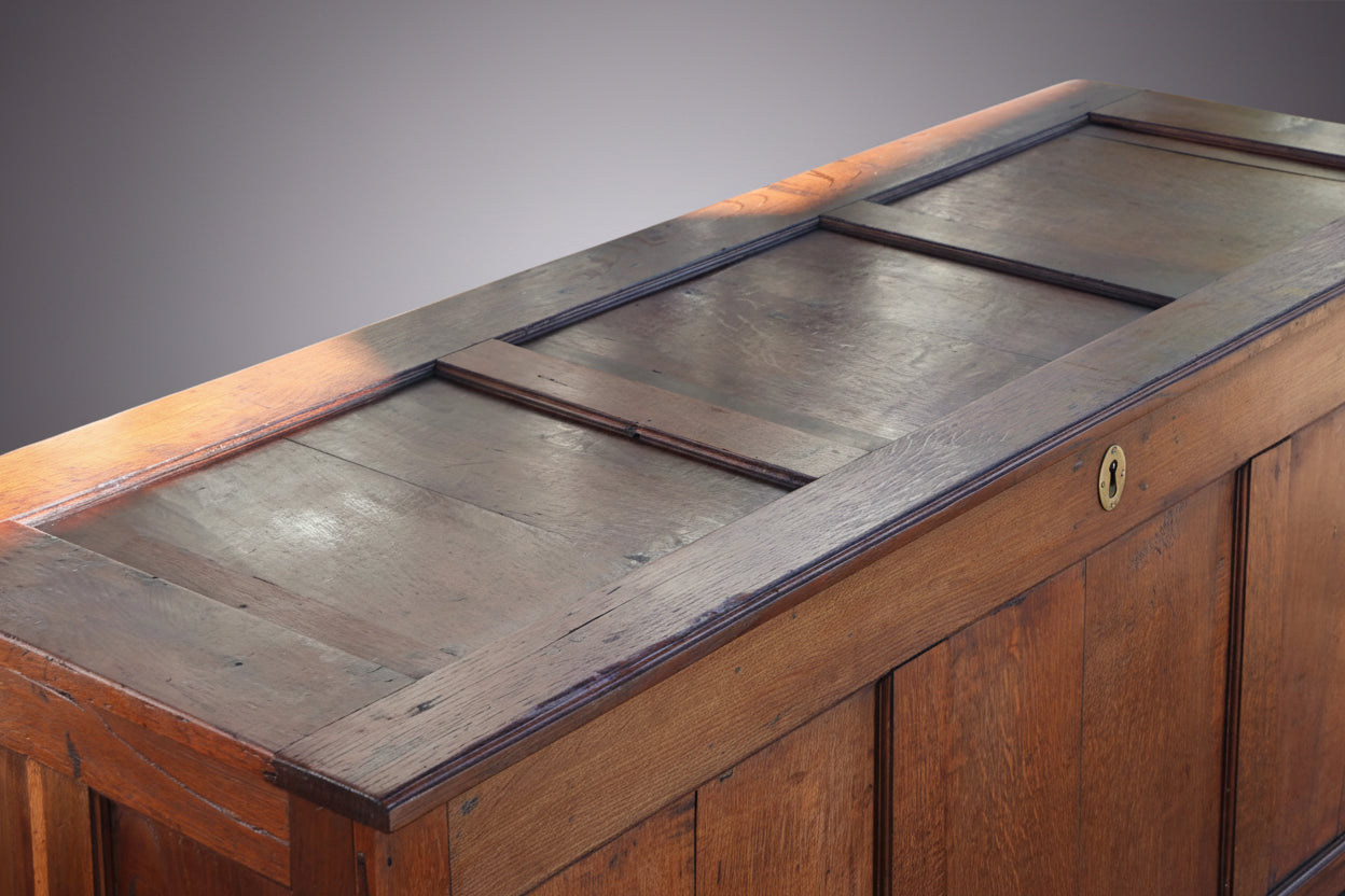Georgian oak 3 Panel Mule Chest