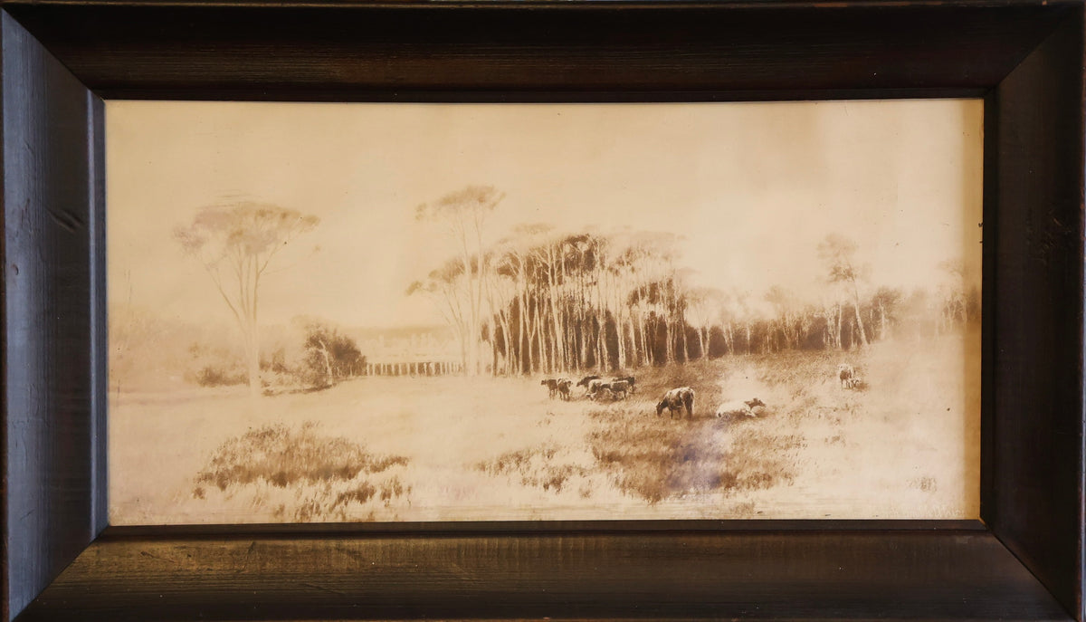 A set of three early 20th Century early Cape Town scene sepia toned Photographs/Prints