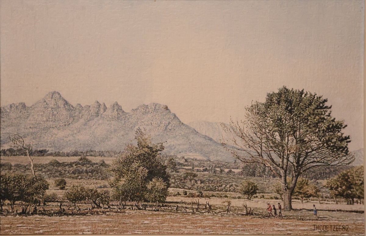 J H Coetzee - Signed '82 - oil on board - Title 'n ou Denneboom naby Kuilsrivier