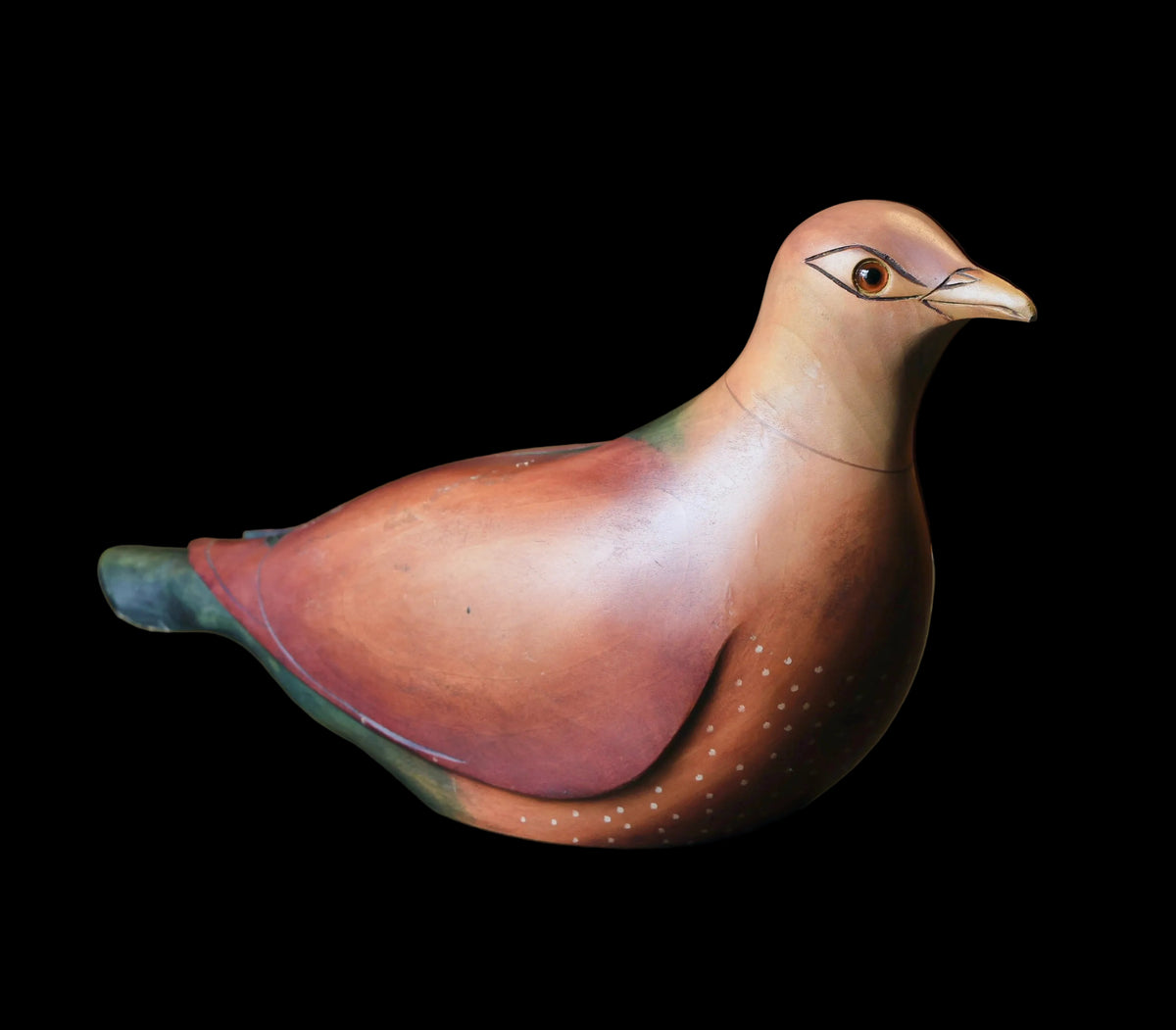 Rameron Pigeon - 203/975 Feathers of Knysna