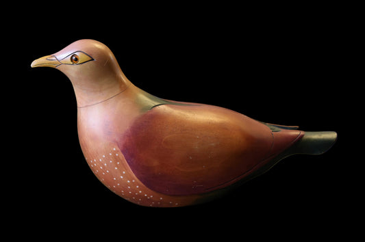 Rameron Pigeon - 203/975 Feathers of Knysna
