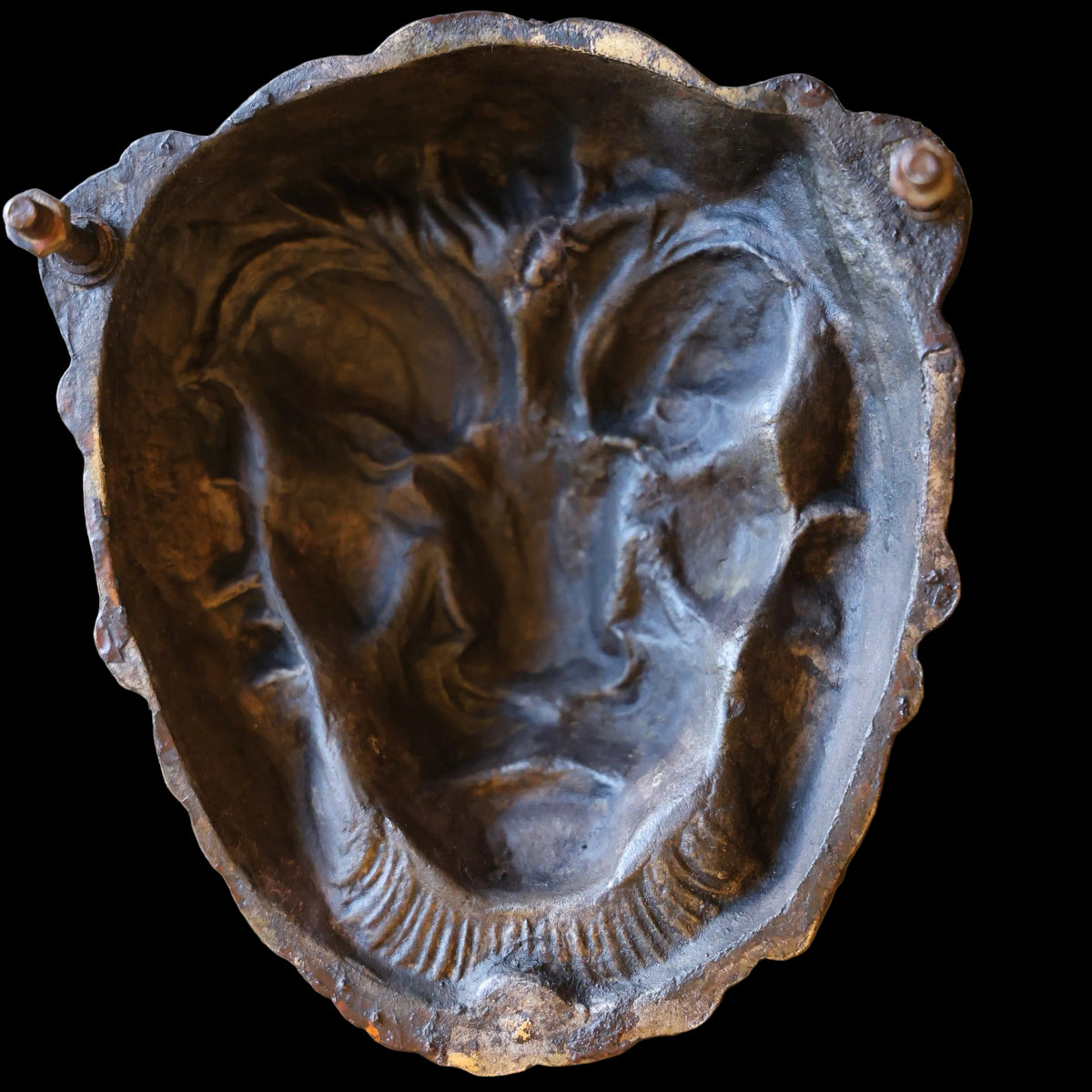 Bronzed Cast Iron Wall mounted lion Head Sculpture