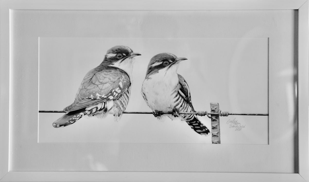 Craig IVOR (1977) limited edition 20/25 print of "Diederik Cuckoo".