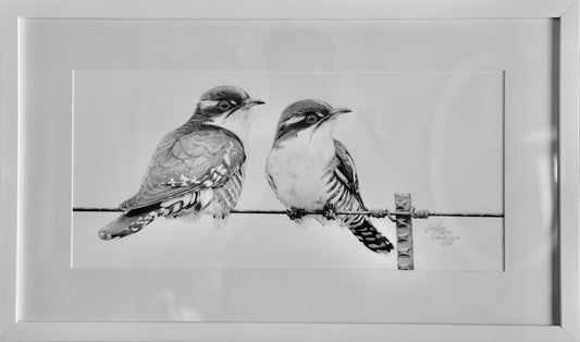 Craig IVOR (1977) limited edition 20/25 print of "Diederik Cuckoo".