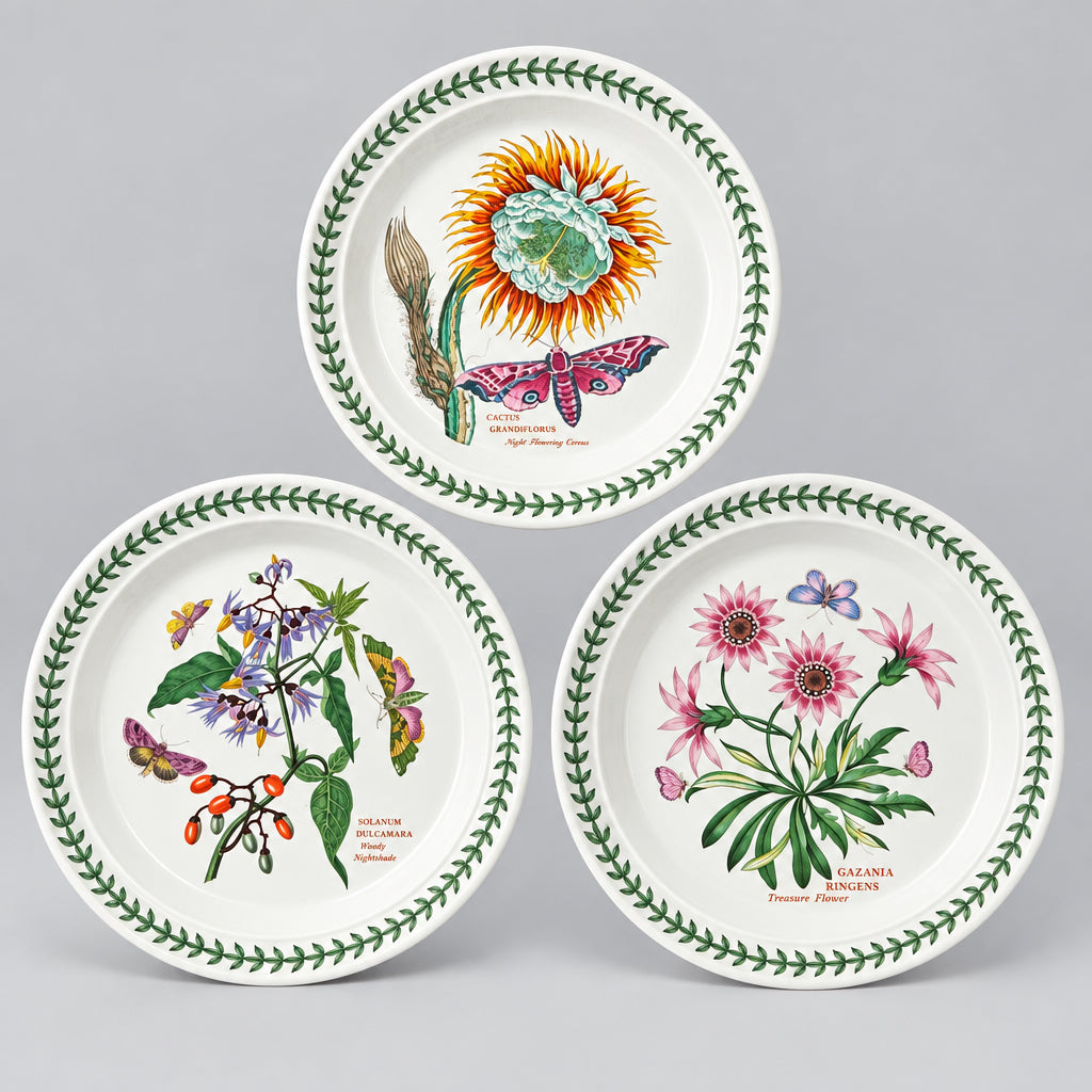 Vintage Portmeirion Botanic Garden Dinner and coffee Service