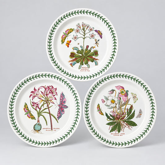 Vintage Portmeirion Botanic Garden Dinner and coffee Service - RESERVED