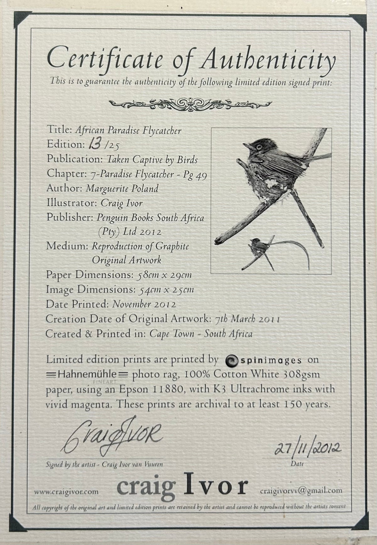 Craig IVOR (1977) limited edition 13/25 print of "African Paradise Flycatcher".