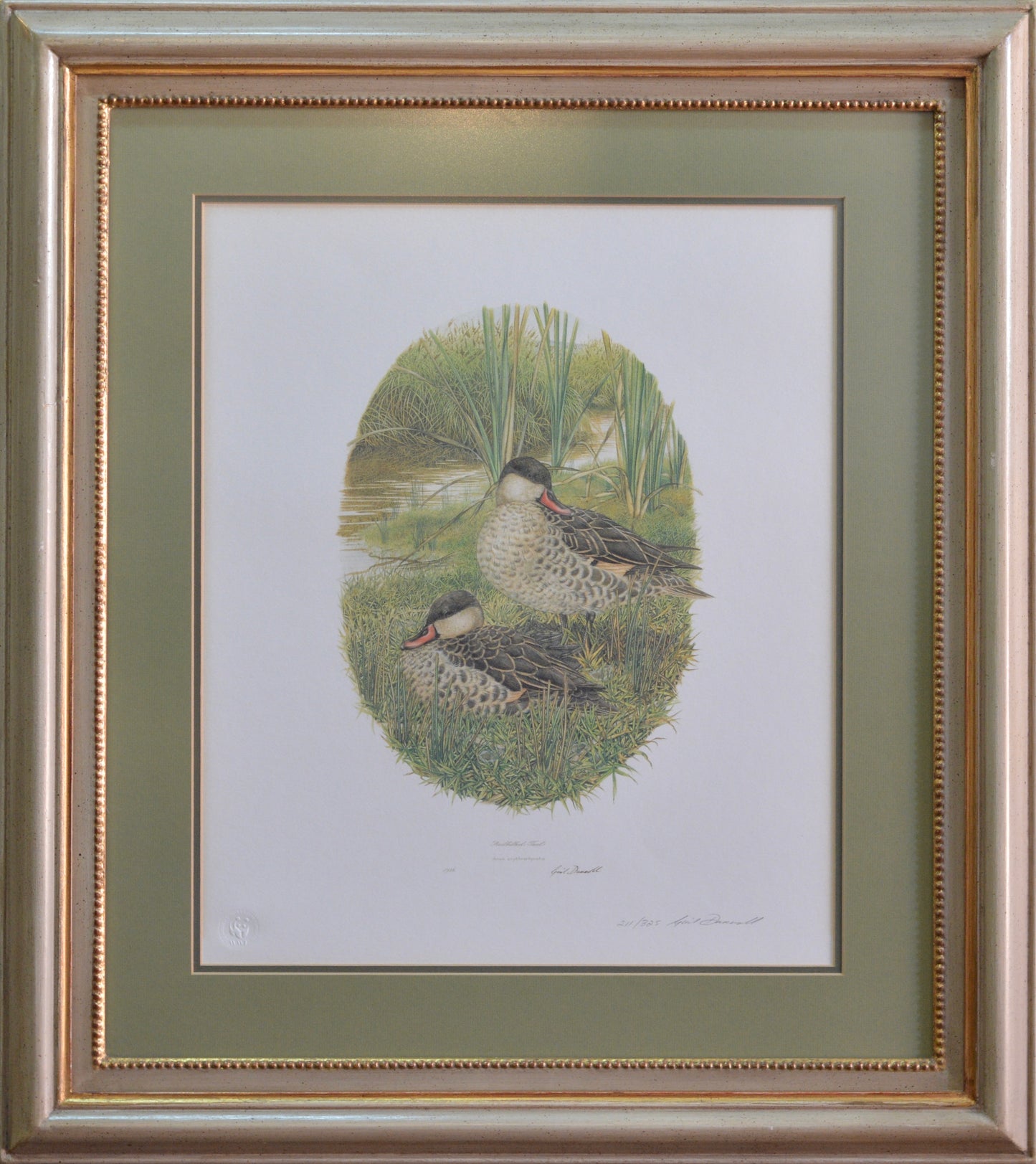 Gail Darroll (SA, Born 1952) 4 beautifully framed limited edition Prints.