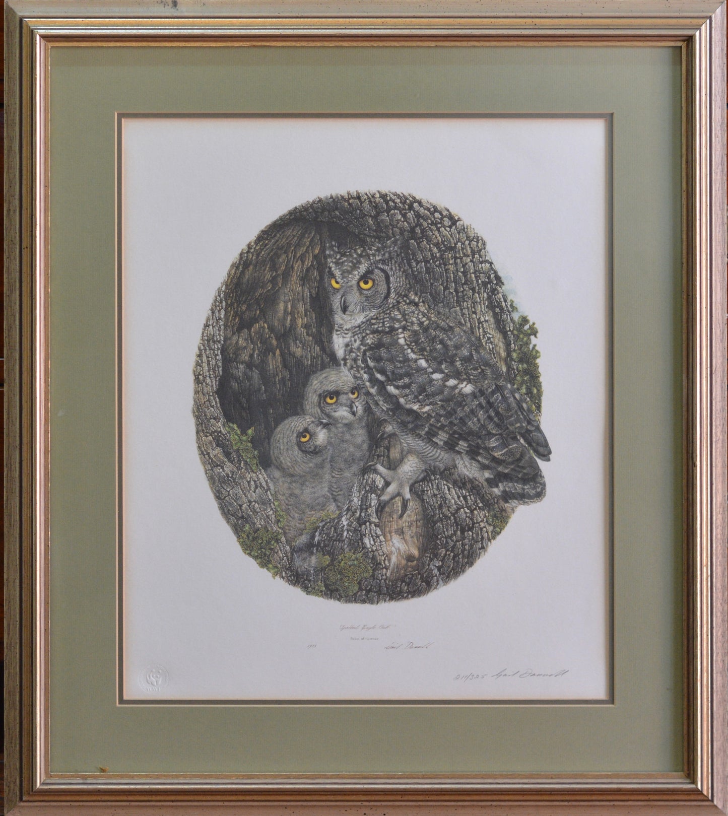 Gail Darroll (SA, Born 1952) 4 beautifully framed limited edition Prints.
