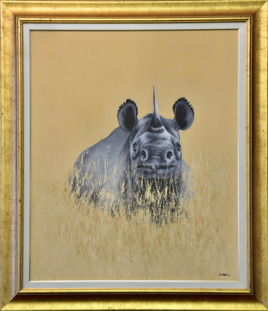 Michael Costello SOUTH AFRICAN 1948-2021 oil on canvas - Black Rhino - SOLD