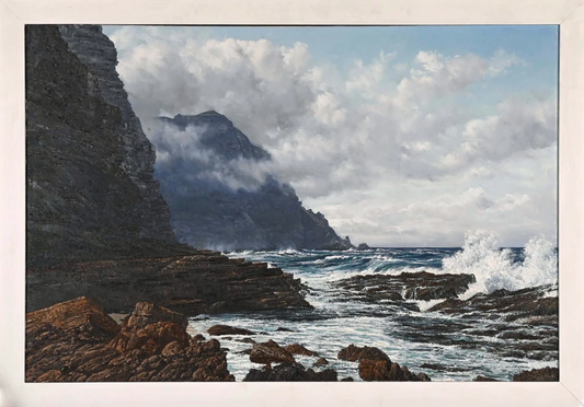 Casey van der Leek - Cape Point